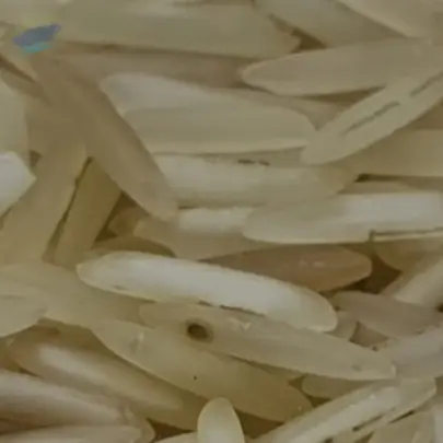 1509 Bamsati Rice