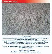 Gum Copal PWS