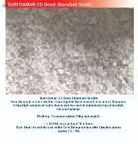 Gum Damar CD