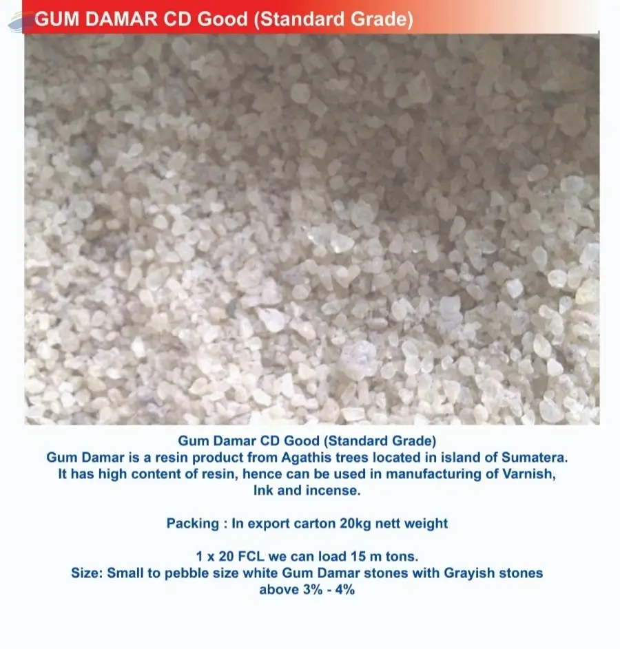 Gum Damar CD