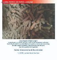 Long Pepper