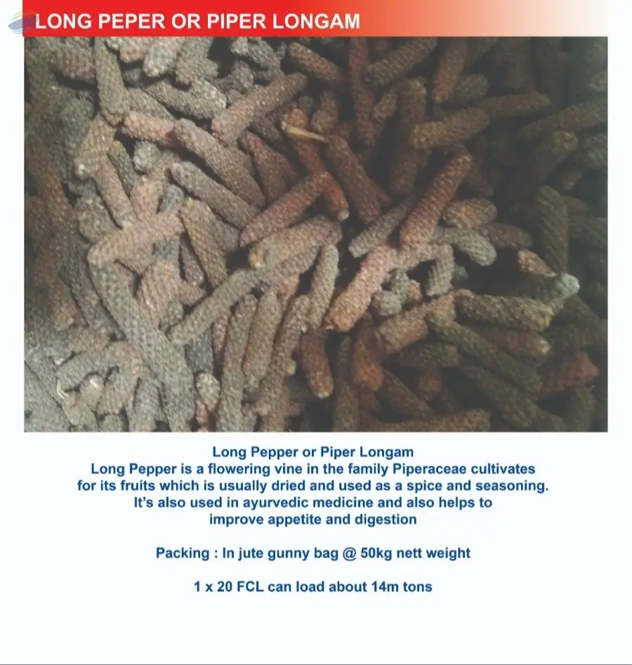 Long Pepper