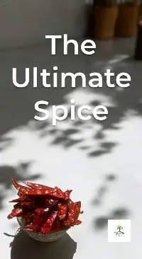 Red Chilli Whole
