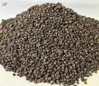Black Pepper