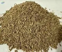 Cumin Seed