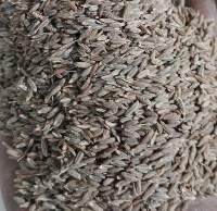 Cumin Seed Gold