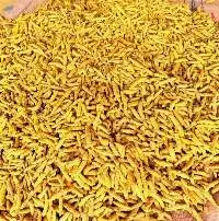 Nizamabad Double Polish Turmeric Finger