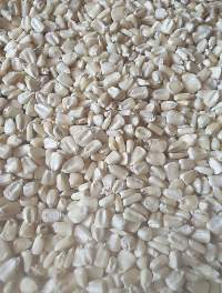 NON Gmo White Maize
