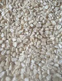 NON Gmo White Maize