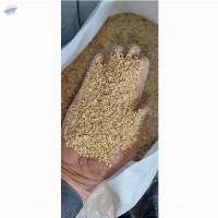 Soybean DDGS