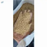 Soybean DDGS
