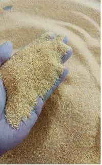 Corn DDGS