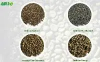 Arabica Java Preanger