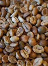Robusta Coffee Beans