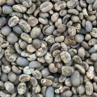 Arabica Lintong