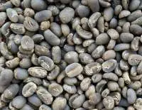 Arabica Mandheling