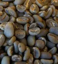 Arabica Java Preanger (Organic Coffee Beans)