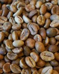 Robusta Coffee Beans