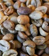 Robusta Coffee Beans