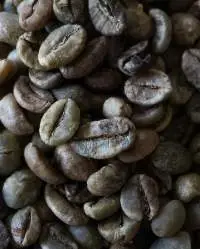 Robusta Coffee Beans