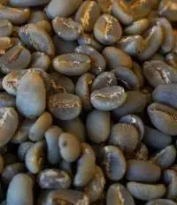 Arabica Coffee