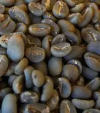 Green Coffee
