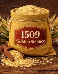 1509 Golden Sella Basmati Rice