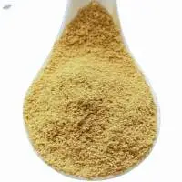 Ginger Extract Powder