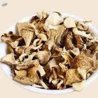 Dehydrated Oyster Mushrooms Export Quality