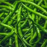 Fresh Green Chillies
