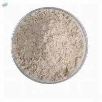 Dextrin Powder CAS 9004-53-9