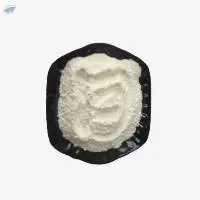Creatine Monohydrate Powder Bulk CAS 6020-87-7