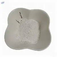 Mushroom Chitosan Powder /Chitin