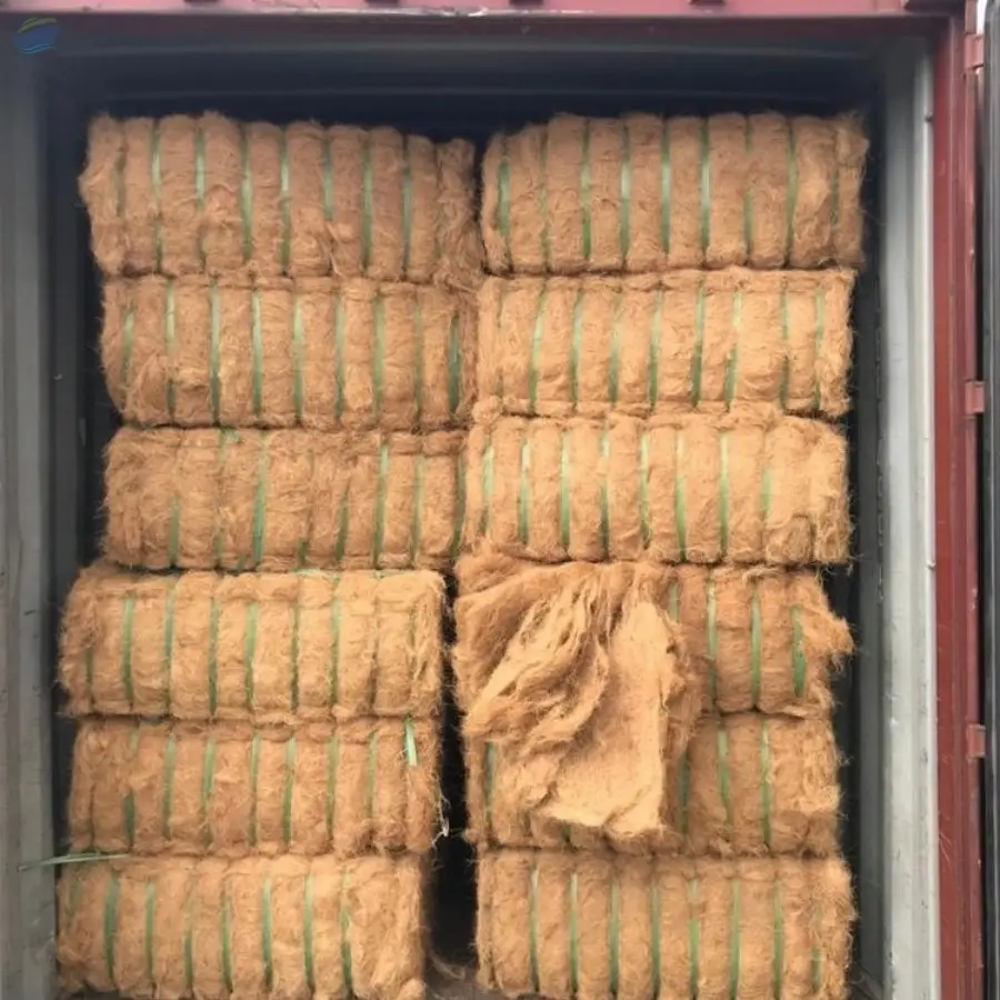 Coir Fibres