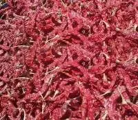 Byadgi - Dry Red Chilli