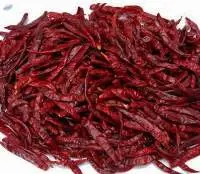 Teja S17 - Dry Red Chilli