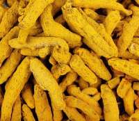 Turmeric Finger