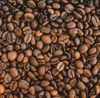 Coffee Bean - Arabica , Robusta