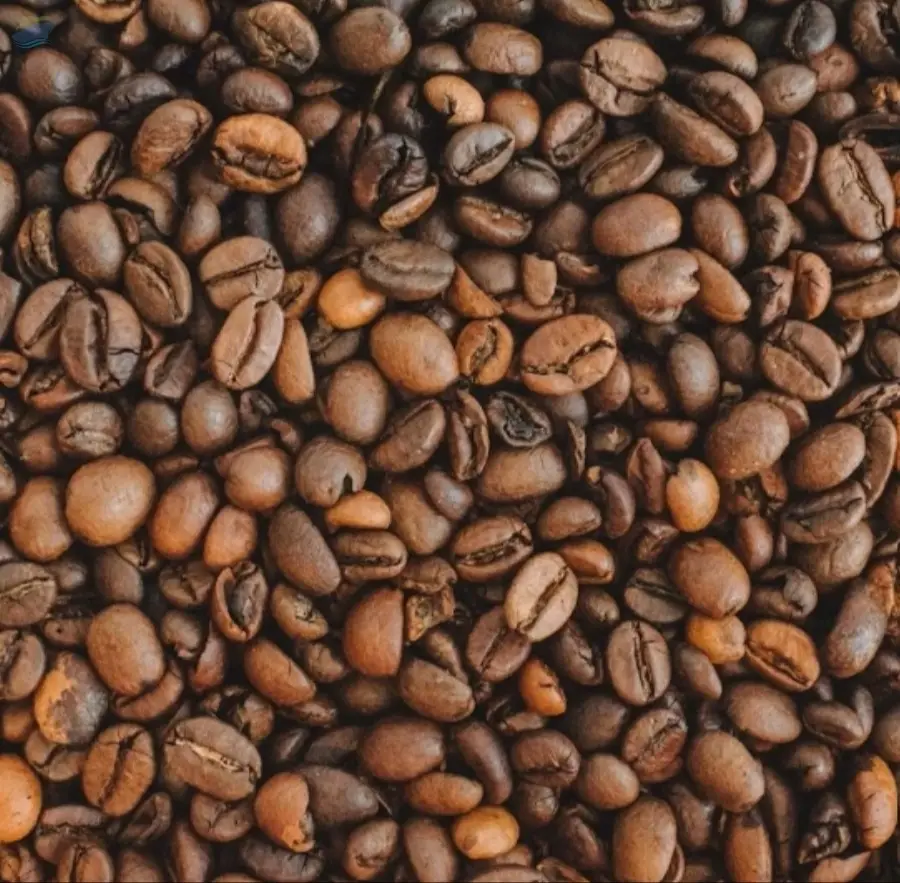 Coffee Bean - Arabica , Robusta