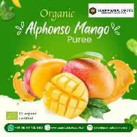 Mango Fruit Pulp