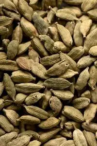 Cardamom (Large)