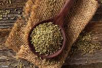 Fennel