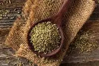 Fennel