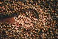 Coriander seeds