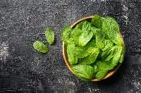 Mint
