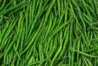 Fresh G4 Green Chilli