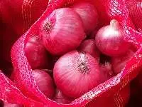 Onion