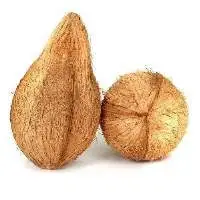 Indian Semi Husked Coconut