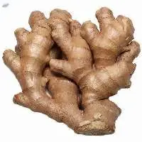 Fresh Ginger