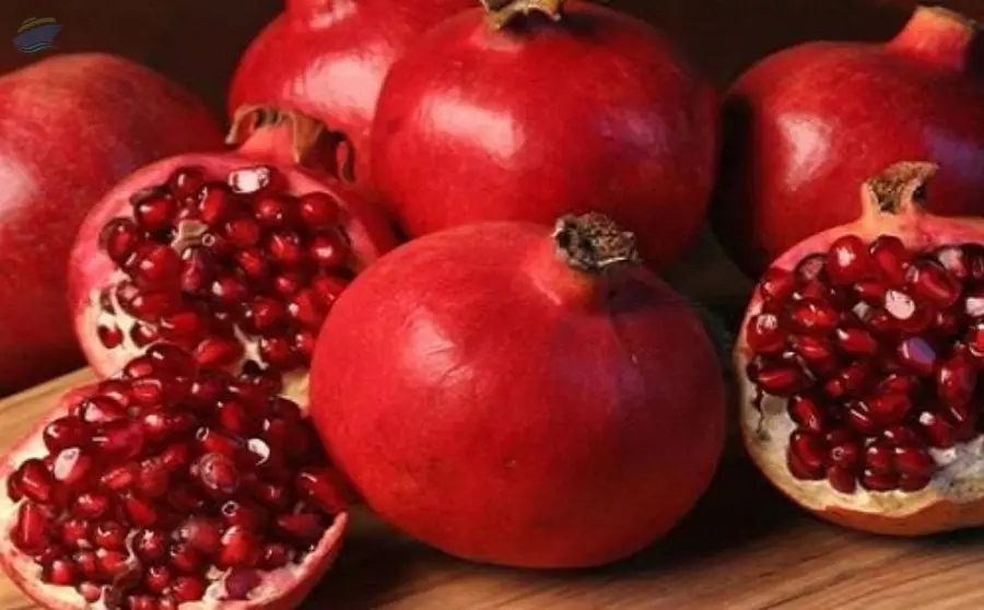 Pomegranate